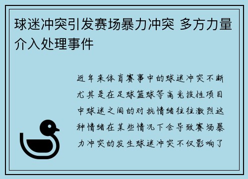 球迷冲突引发赛场暴力冲突 多方力量介入处理事件
